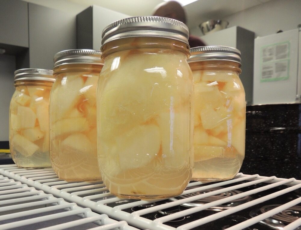 Culture Jars / Filter-Patch Spawn Bags