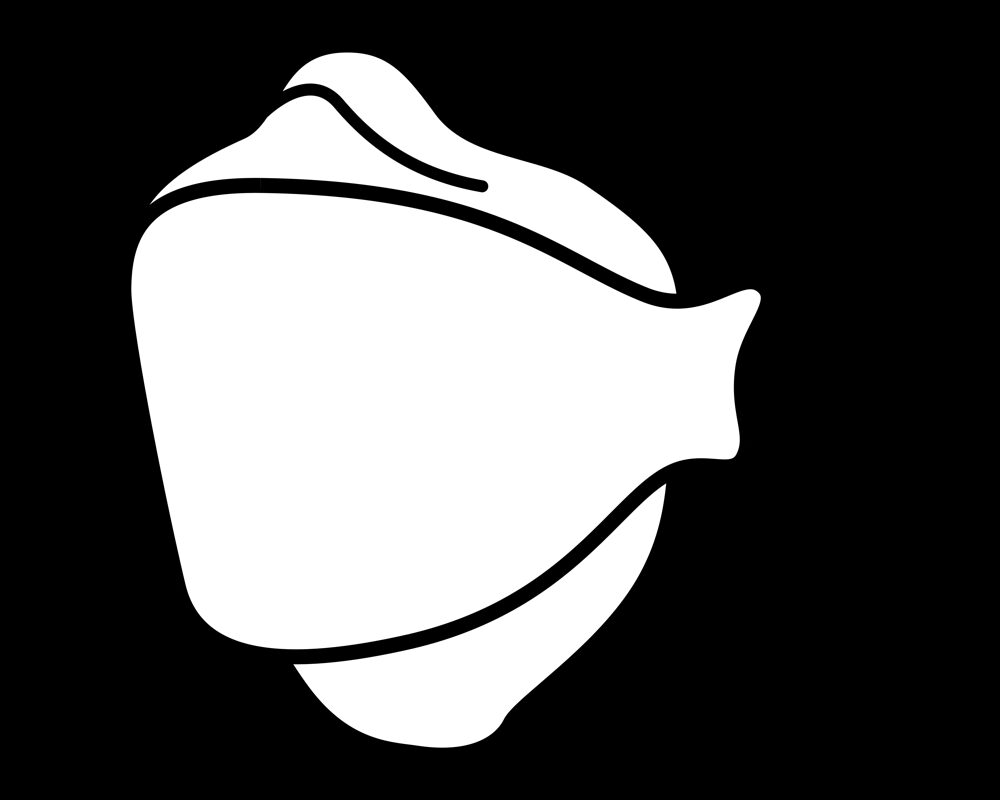 PPE — Gloves, Masks, Sanitizer